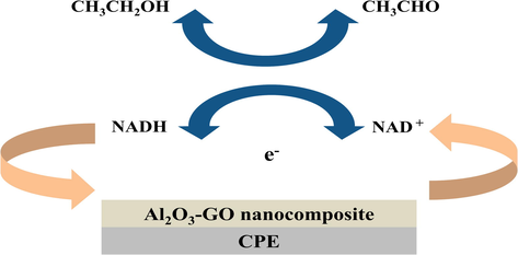 Schematic representation for the bioelectrocatalytic sensing of ethanol through the catalytic oxidation of NADH using Al2O3-GO nanocomposite modified CPE electrode.