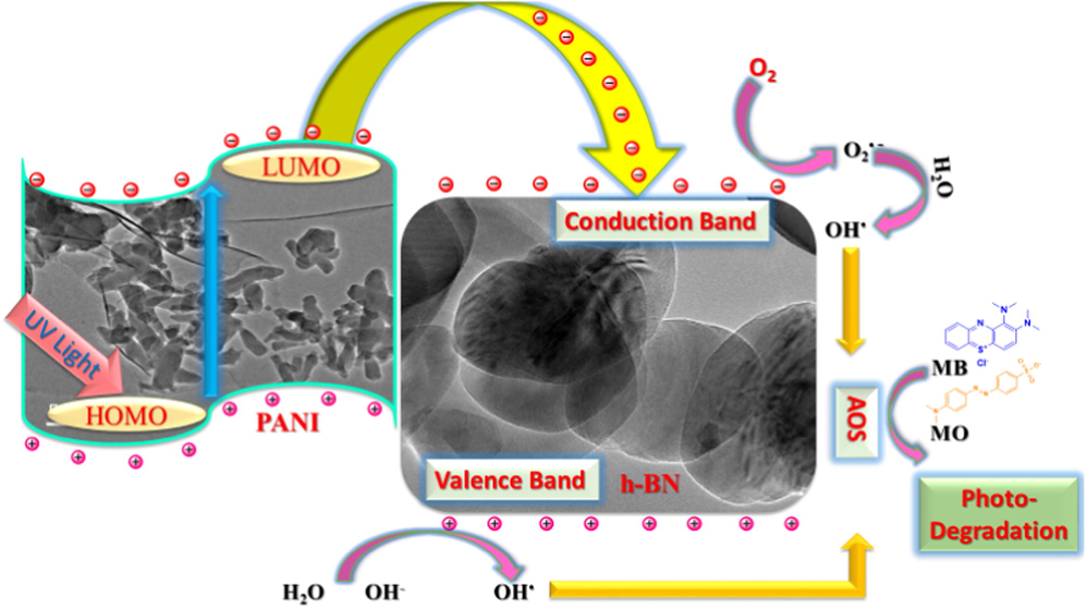 Schematic illustration for the formation of advanced oxidation species in h-BN nanosheets doped PANI nanocomposite.