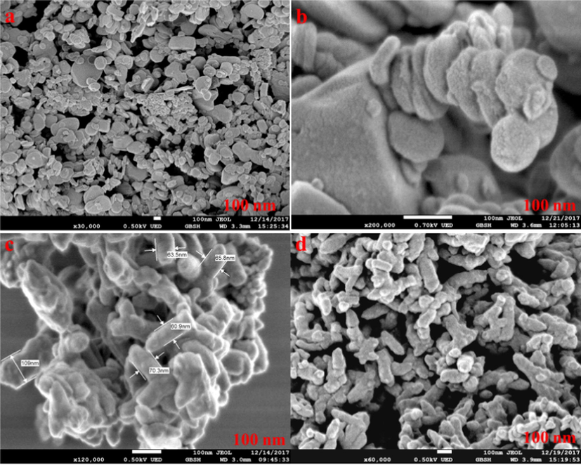 FESEM micrographs of (a and b) h-BN (c) PANI, and (d) P-BN-5.