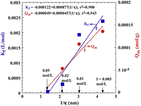 The relationships between EDL thickness and maximum adsorption capacity of tourmaline for DR23.