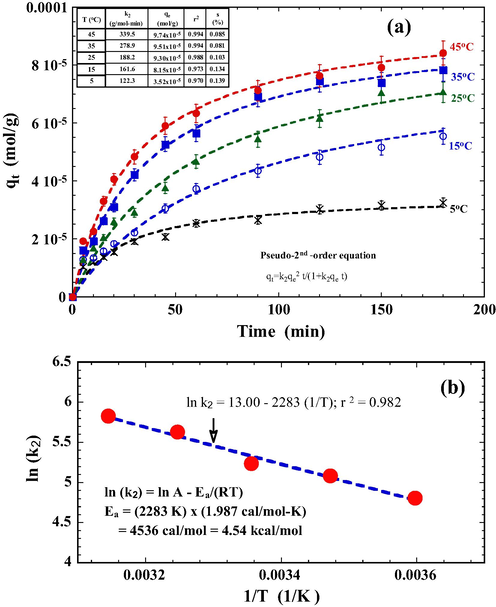 Effect of temperature on the adsorption of DR23. Conditions: tourmaline 1.0 g/L, initial pH 3.0, NaCl 0.01 mol/L, DR23 1.0 × 10−4 mol/L. The dashed lines represent the best fit of a pseudo-second-order equation.