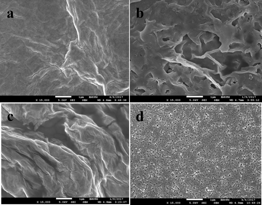 FESEM images of (a) ERGO, (b) pEBT, (c) ERGO-pEBT and (d) ERGO-pEBT/AuNPs.