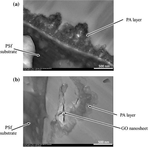 TEM images of cross-section of (a) TFC-f and (b) TFN-f 0.03 membrane.