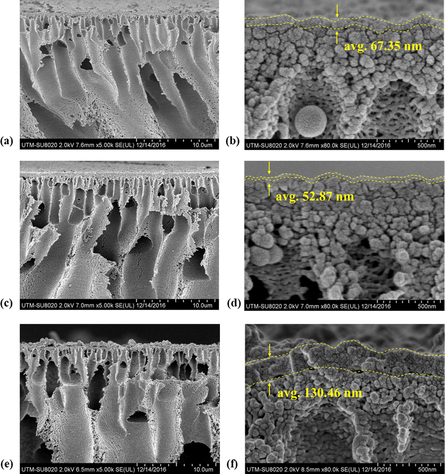 FESEM images of cross sectional of membranes (a and b) TFC, (c and d) TFC-f and (e and f) TFN-f 0.03 with the measured thickness of the PA layer.