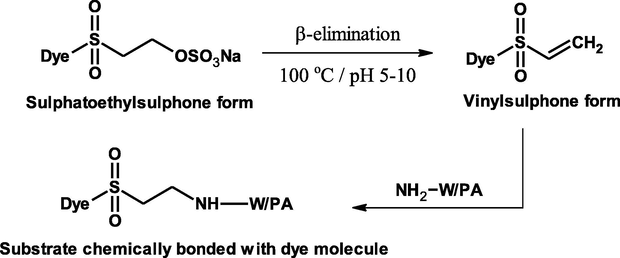 Dyeing mechanism of wool and polyamide.