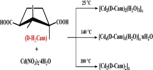 Synthesis conditions for the three Cd-Camphor compounds.