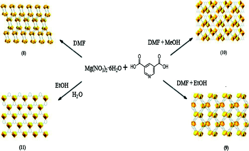 The self-assembly of Mg(NO3)2·6H2O and 3,5-PDC under different solvents in (8)-(11).