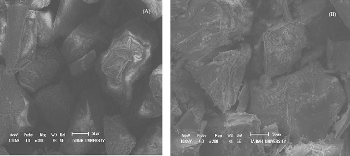 SEM images of (A) plain silica, and (B) chelating resin Si—(HQ)2.