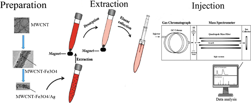 A scheme of MWCNT-Fe3O4/Ag preparation and determination of PAEs.