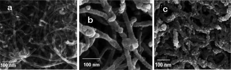 SEM image of MWCNT (a), SEM image of MWCNTs-Fe3O4/Ag (b) and SEM image of MWCNTs-Fe3O4/Ag after extraction process (c).