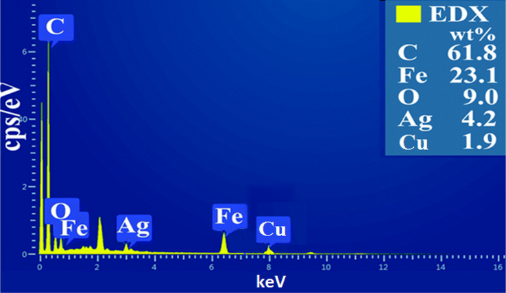 EDX spectrum of the synthesized MWCNTs-Fe3O4/Ag.