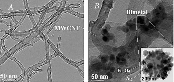 TEM image of MWCNTs (A), and modified MWCNTs with iron oxide and silver (MWCNT-Fe3O4/Ag) (B).