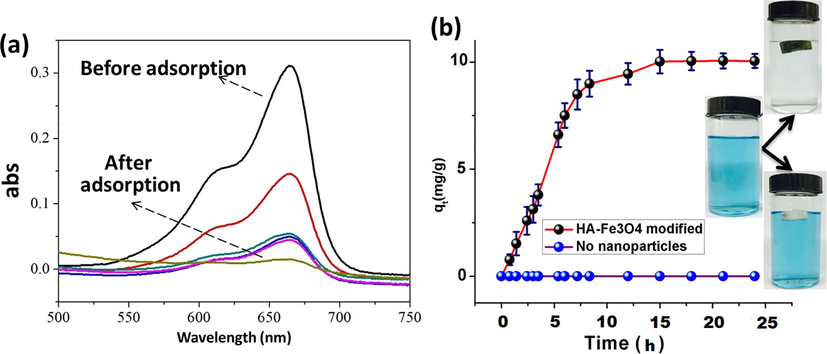 Methylene blue adsorption by polyHIPEs; (a) UV–vis spectra of methylene blue dye adsorbed by functional polyHIPE composites, and (b) Adsorption kinetics curves for polyHIPEs sample 6 (red curve) and sample 8 (purple curve).