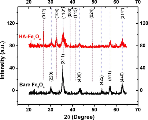 XRD patterns of bare Fe3O4 and humic acid modified Fe3O4 nanoparticles.