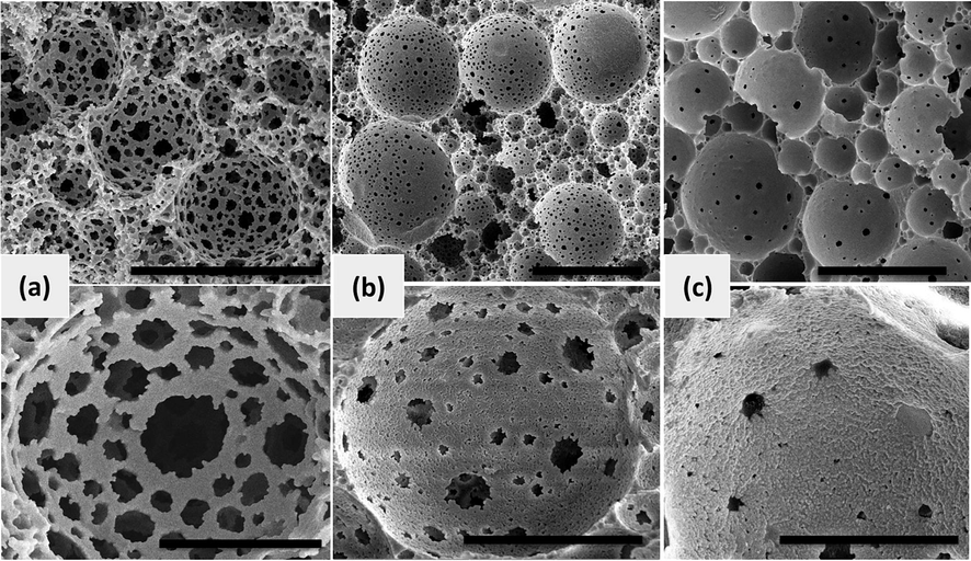 Effect of HA-Fe3O4 concentration (constant CFS 8 wt%) on openness of polyHIPEs: (a) sample 5, (b) sample 6, and (c) sample 7; (Upper images scale bar 50 μm, Lower images scale bar 10 μm).