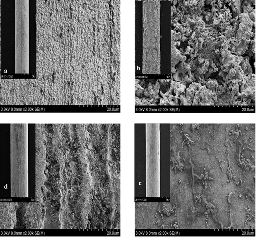 Demonstrates the SEM images of fine part of coated electrodes and the corresponding TM film (a) copper substrates, (b) tin substrates (c) steel wire, and (d1, d2 for Titanium wire).