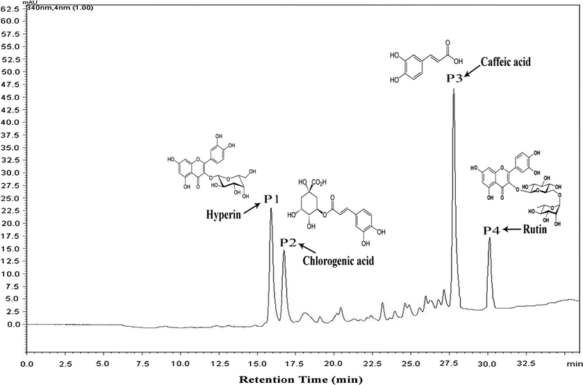 HPLC–DAD profile obtained from the acetone extract of P. leschenaultii leaves.