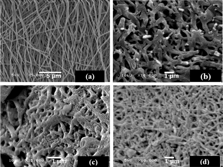 SEM images of (A) PAN nanofibers, (B) ECNFs, (C) O-ECNFs, and (D) O-ECNFs/MB.