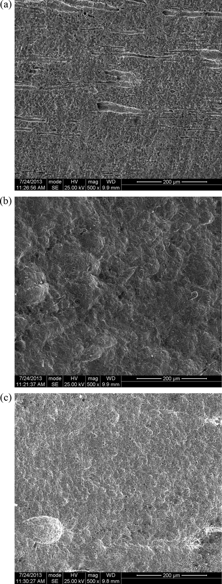 SEM images of pipeline steel in petroleum pipeline water (a) without S&P and S-Ind, (b) with S&P, and (c) with S-Ind.