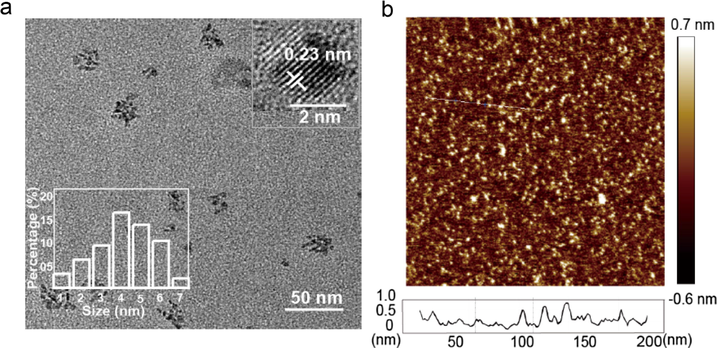 Morphology characterization of N-CDs. (a) TEM image of the as-prepared N-CDs (scale bar, 50 nm). The inset contains the HRTEM image of N-CDs (scale bar, 2 nm). (b) AFM profile line analysis (bottom) confirms the monolayer distribution, while the top one approves the homogeneous dispersion of the as-prepared N-CDs on the mica substrate.