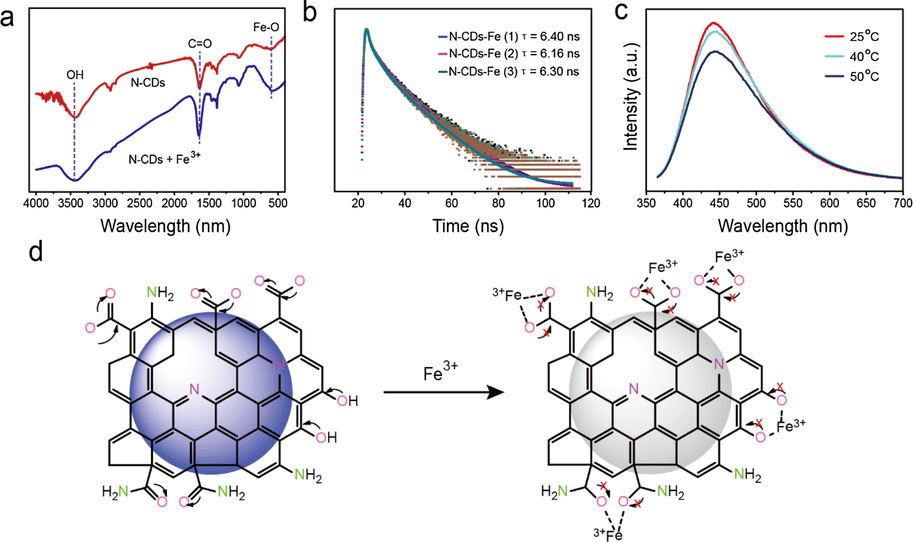 (a) FTIR of the N-CDs and Fe3+ chelated N-CDs. (b) PL lifetime of N-CDs with different concentrations of Fe3+. The concentrations for Fe3+ (1) = 0.027, Fe3+ (2) = 0.054 and Fe3+ (3) = 0.071 mM. (c) Temperature-dependent PL intensity of the Fe3+ chelated N-CDs. (d) Schematic showing the PL intensity quenching caused by Fe3+ chelation and inhibition of charge transfer between the atoms of different surface functional groups.