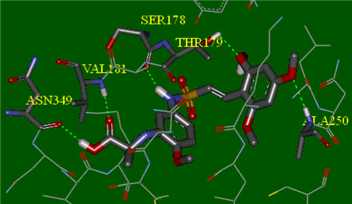 Hydrogen bonding interactions between compound 40 and key residues.