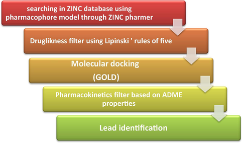 Workflow for combined ligand-based and structure-based virtual screening.