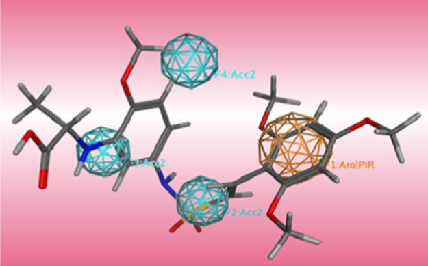 The best pharmacophore model of AutoGPA, mapping with the most active compound 40.