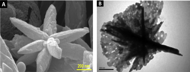 Synthesis of silver nanoparticles with different shapes - Arabian ...