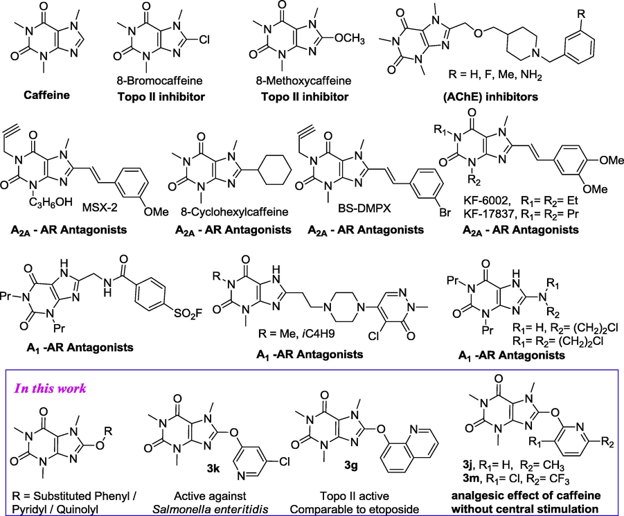 Structure of some potent 8-substituted caffeine derivatives.