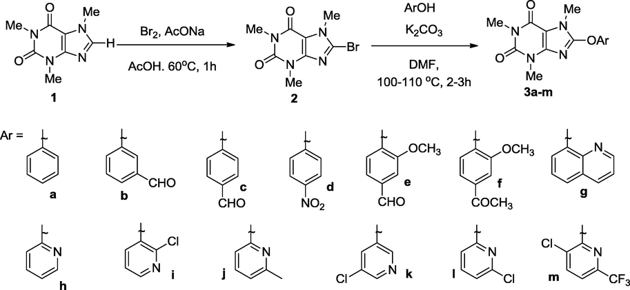 Synthesis of 8-(substituted)aryloxycaffeine (3a–m) from caffeine (1) via 8-bromocaffeine.
