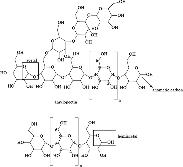 Chemical structures of amylose and amylopectin.