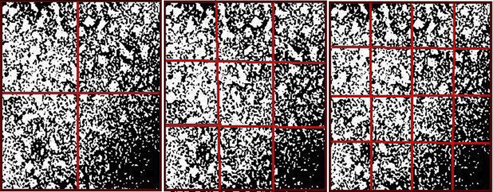 Three steps of meshing for sample b.