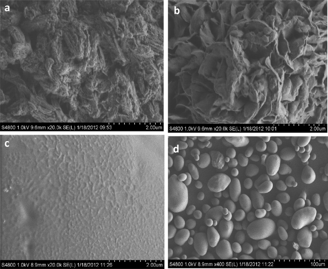 Scanning electron micrographs of (a) MDIS, (b) HDIS adsorbents, (c) pristine starch (20,000×) and (d) pristine starch (400×).