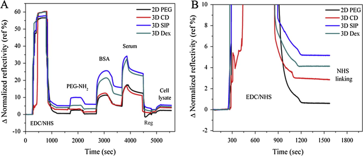 A complete experiment setup (A) showing EDC/NHS activation of carboxyl groups followed by blocking by PEG-NH2 and bovine serum albumin (BSA) and then flow of embryonic stem cell lysate and human serum in order to check the non-specific adsorption on all 4 surfaces (B) a sensorgram revealing NHS immobilization capacity of each surface after activation with EDC/NHS.