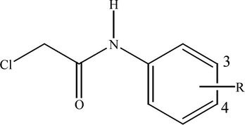 Structure of the investigated N-(substituted phenyl)-2-chloroacetamides, where R is: 4-H (1); 4-CH3 (2); 4-OCH3 (3); 4-Cl (4); 4-Br (5); 4-F (6); 4-I (7); 4-COCH3 (8); 4-OH (9); 4-CN (10); 3-CN (11); 3-Br (12).