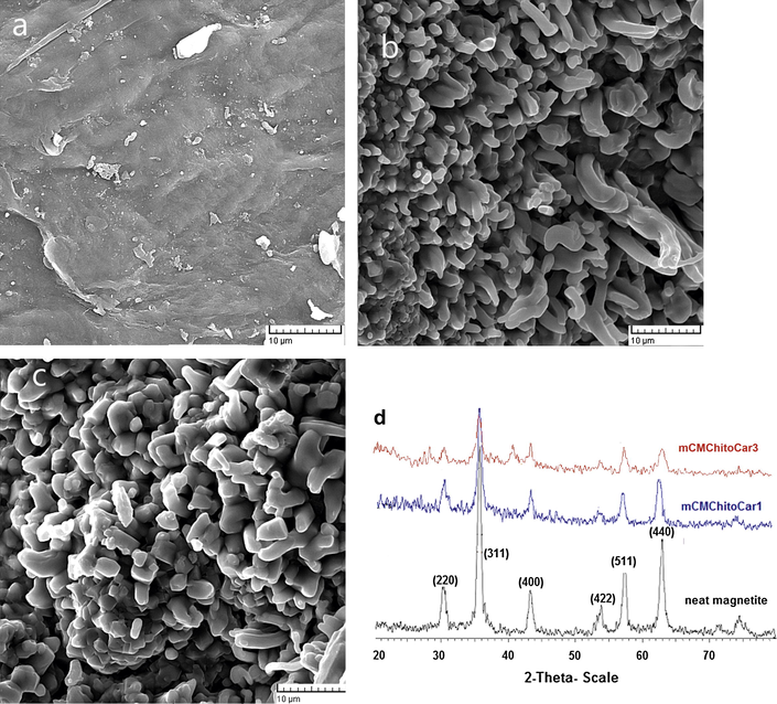 SEM images of (a) non-magnetic CMChitoCar, (b) mCMChitoCar1, (c) mCMChitoCar2 and (d) XRD patterns of neat magnetic Fe3O4, mCMChitoCar1, and mCMChitoCar3 nanocomposites.