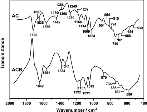 FT-IR spectrum of ACB.