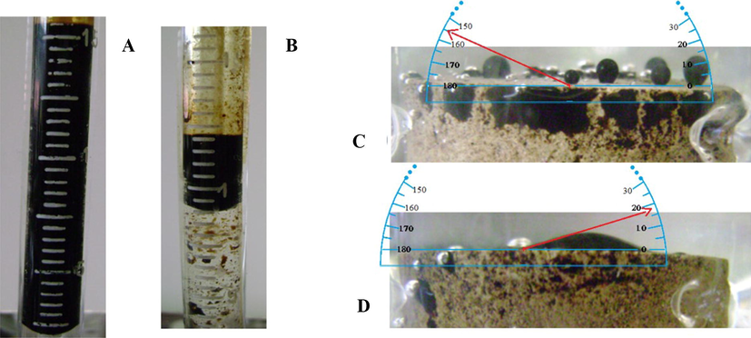 Recovered heavy oil using (A) a GZL-containing brine and (B) the reference brine. Contact angles produced by using (C) a GZL-containing brine and (D) the reference brine.