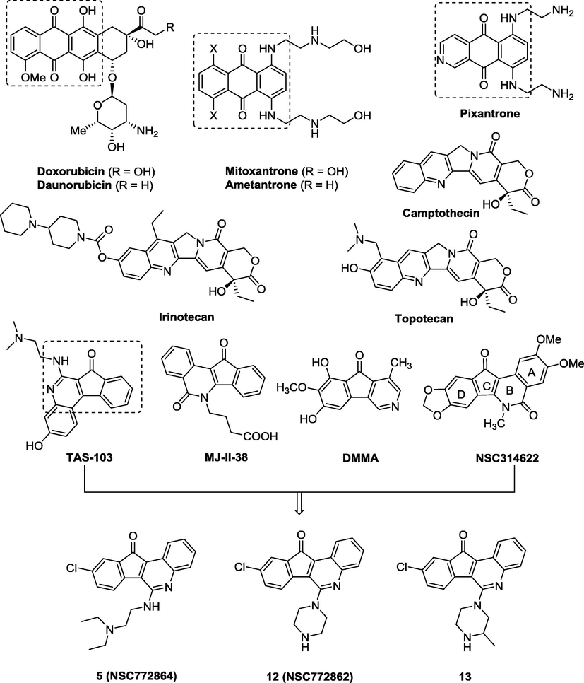 Structural hybridization design of tetracyclic quinoline derivatives.