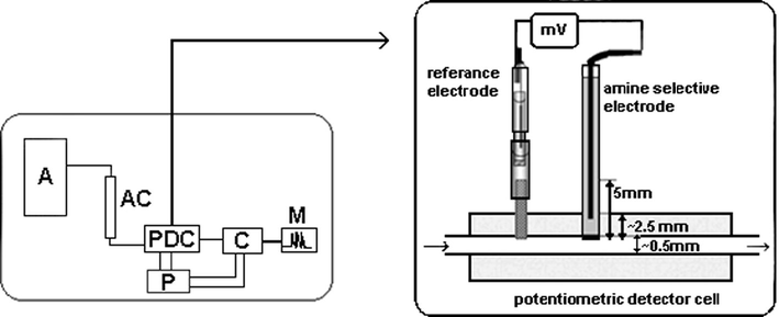 Schematic diagram of the chromatographic system for the determination of aliphatic amines (A: HPLC system; AC: analytical column; PDC: potentiometric detector cell; P: potentiometer; C: computer; M: monitor).