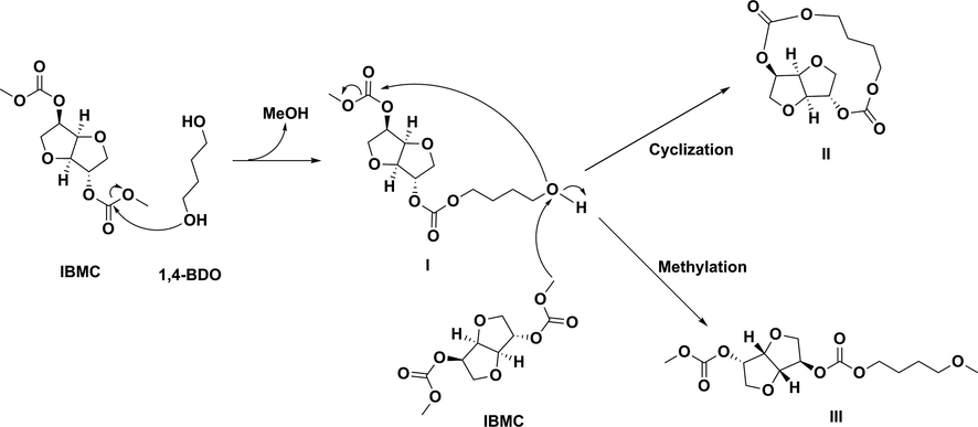 Reactions justifying formation of some possible chemicals related to peaks 2 and 3 in GPC.