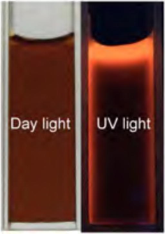 The stability shown by CuInS2 QDs after 4 months of air storage under day light and under UV light (365 nm).