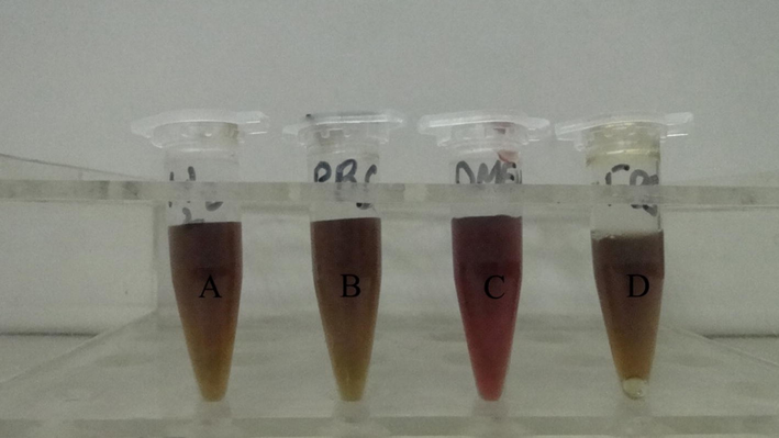 Stability spectra of QDs in water, PBS, DMEM, and FBS.