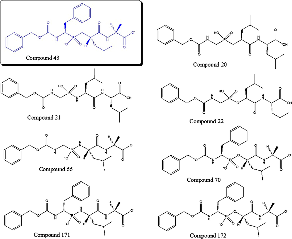 Structurally similar compounds to compound 43 proved with docking.