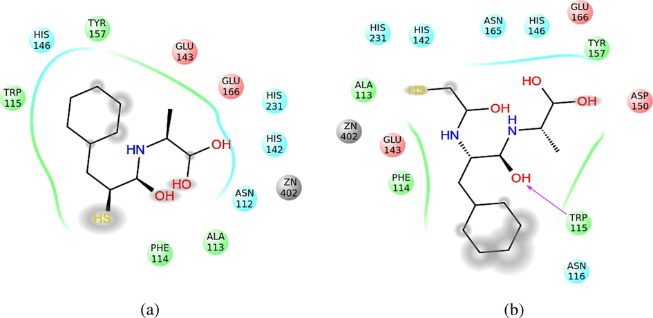 Representation of the interactions of the compound 34 (A) and compound 32 (B) in the active center of the Thermolysin. The interaction with the solvent has been shaded. The polar area of interaction has been represented with blue ribbons; the hydrophobic area, with green ones, and the area with density of negative charge, with red ones.