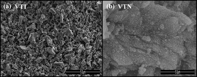SEM micrograph of the catalysts (a) VTI and (b) VTN.