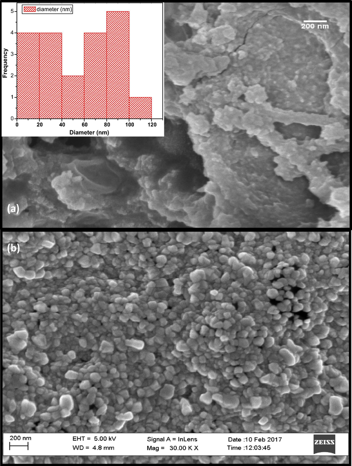 SEM micrograph for biosynthesized CuO nanoparticles annealed at (a) 200 °C for 2 h and (b) 500 °C, for 2 h.