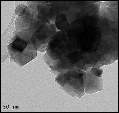 Transmission electron micrograph of the biosynthesized CuO powder annealed at 500 °C in air, for 2 h.