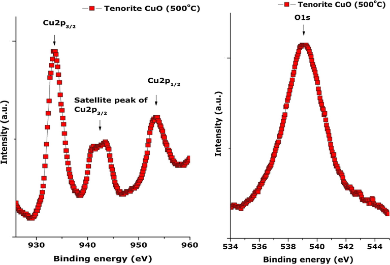 High-resolution XPS spectra of the CuO nanoplatelet-containing powder: (a) Cu 2p and (b) O1s.